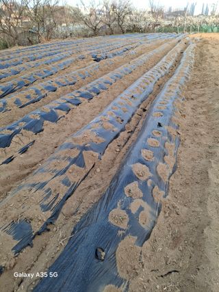 행복한누룩님의 기타작물 · 영농일지 작성글 사진