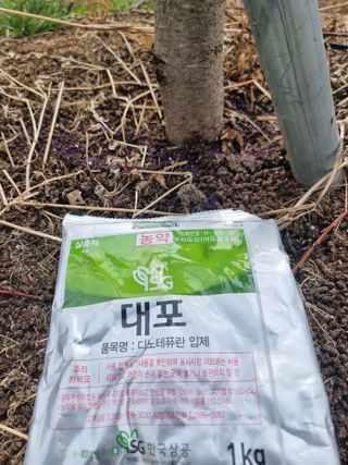 해찬들농원님의 복숭아 · 영농일지 작성글 사진