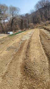 팜모닝 기타작물·영농일지 게시글 이미지