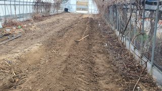 변호연님의 기타작물 · 영농일지 작성글 사진