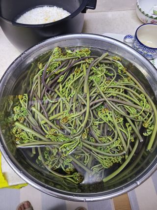 자연같이님의 두릅 · 영농일지 작성글 사진