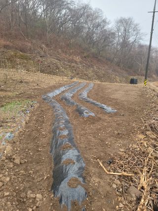 Kbcn님의 감자 · 영농일지 작성글 사진