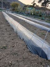 팜모닝 기타작물·영농일지 게시글 이미지