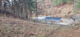 변호연님의 두릅 · 영농일지 작성글 사진