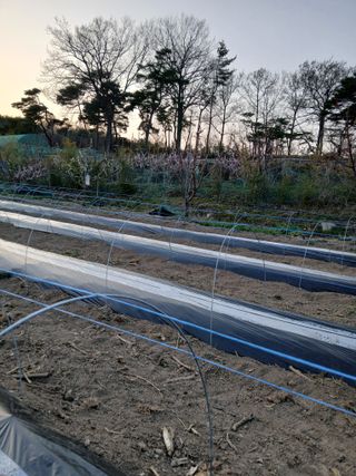 이광희님의 기타작물 · 영농일지 작성글 사진