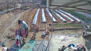 포청천님의 기타작물 · 영농일지 작성글 사진