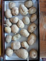 팜모닝 감자·영농일지 게시글 이미지