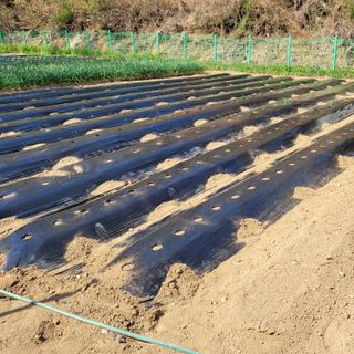 이창화님의 기타작물 · 영농일지 작성글 사진