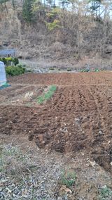 팜모닝 기타작물·영농일지 게시글 이미지