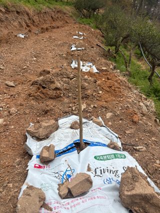 백민곤님의 기타작물 · 영농일지 작성글 사진
