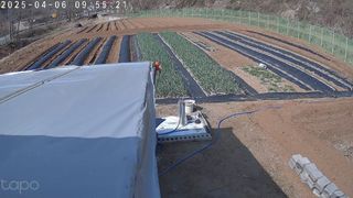 포청천님의 기타작물 · 영농일지 작성글 사진