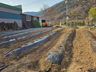 토종님의 기타작물 · 영농일지 작성글 사진