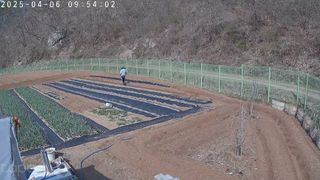 포청천님의 기타작물 · 영농일지 작성글 사진