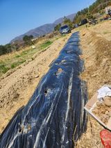 팜모닝 감자·영농일지 게시글 이미지