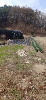 팜모닝 기타작물·영농일지 게시글 이미지