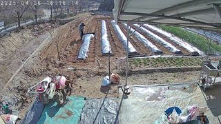 포청천님의 기타작물 · 영농일지 작성글 사진