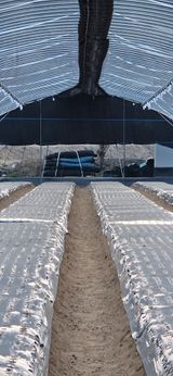 팜모닝 기타작물·영농일지 게시글 이미지