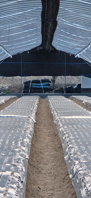 김승기님의 기타작물 · 영농일지 작성글 사진