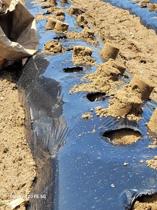 조상연님의 기타작물 · 영농일지 작성글 사진