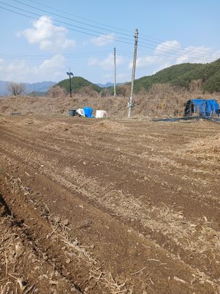 거촌어른님의 기타작물 · 영농일지 작성글 사진