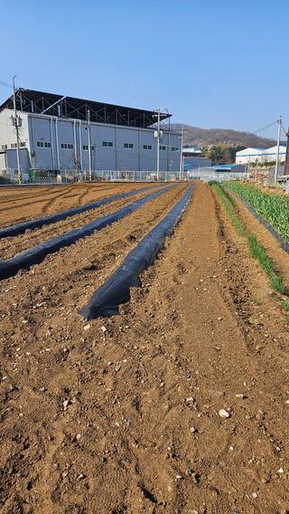 이순정님의 기타작물 · 영농일지 작성글 사진