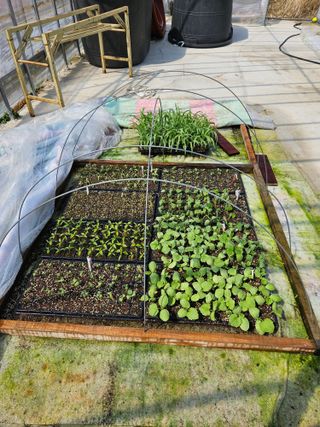 백호순(후추)님의 고추 · 영농일지 작성글 사진