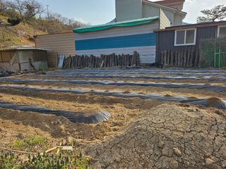 토종님의 기타작물 · 영농일지 작성글 사진