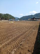 팜모닝 기타작물·영농일지 게시글 이미지