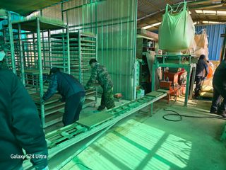 대왕소나무님의 벼 · 영농일지 작성글 사진