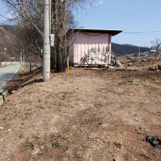 정연섭님의 기타작물 · 영농일지 작성글 사진