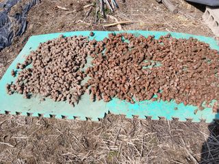 이갑덕님의 상추 · 영농일지 작성글 사진