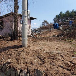 정연섭님의 기타작물 · 영농일지 작성글 사진