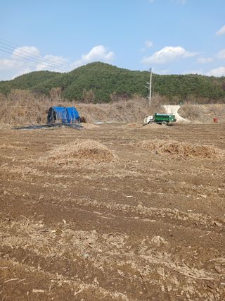 거촌어른님의 기타작물 · 영농일지 작성글 사진