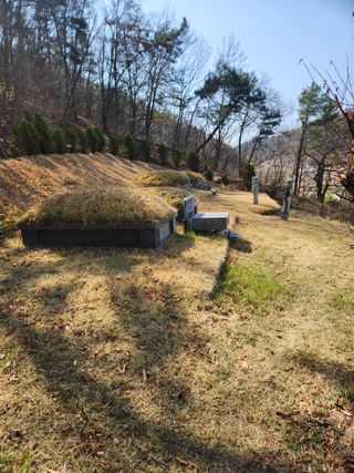 정조연님의 기타작물 · 영농일지 작성글 사진