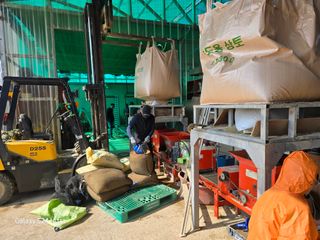 대왕소나무님의 벼 · 영농일지 작성글 사진