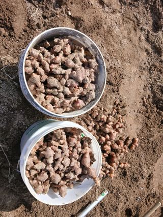 이갑덕님의 상추 · 영농일지 작성글 사진