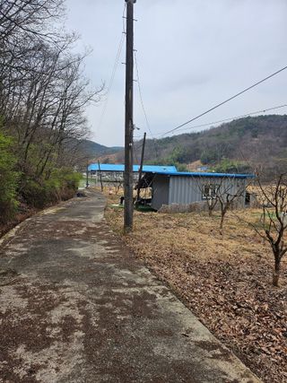 지식농부님의 감 · 영농일지 작성글 사진