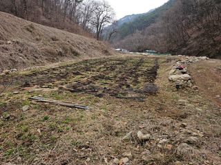 대파14665님의 기타작물 · 영농일지 작성글 사진