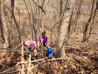 방태산용님의 기타작물 · 영농일지 작성글 사진