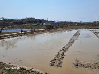 귤21628님의 기타작물 · 영농일지 작성글 사진