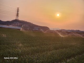 박종권님의 마늘 · 영농일지 작성글 사진