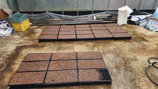 이규섭님의 옥수수 · 영농일지 작성글 사진