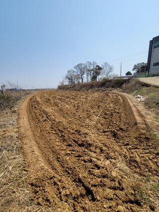 로만아빠님의 벼 · 영농일지 작성글 사진