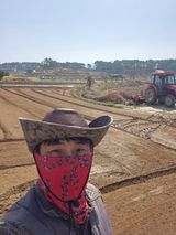 팜모닝 참깨·영농일지 게시글 이미지