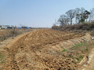 로만아빠님의 벼 · 영농일지 작성글 사진