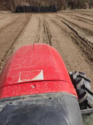 장정구님의 파 · 영농일지 작성글 사진