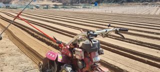 박사원농장님의 기타작물 · 영농일지 작성글 사진