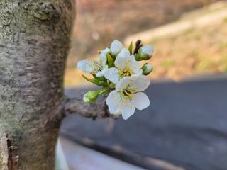 김홍중님의 기타작물 · 영농일지 작성글 사진