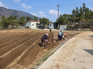 박준호님의 기타작물 · 영농일지 작성글 사진
