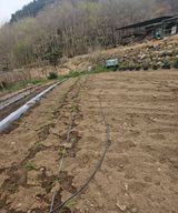 팜모닝 기타작물·영농일지 게시글 이미지